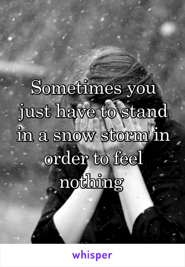 Sometimes you just have to stand in a snow storm in order to feel nothing 