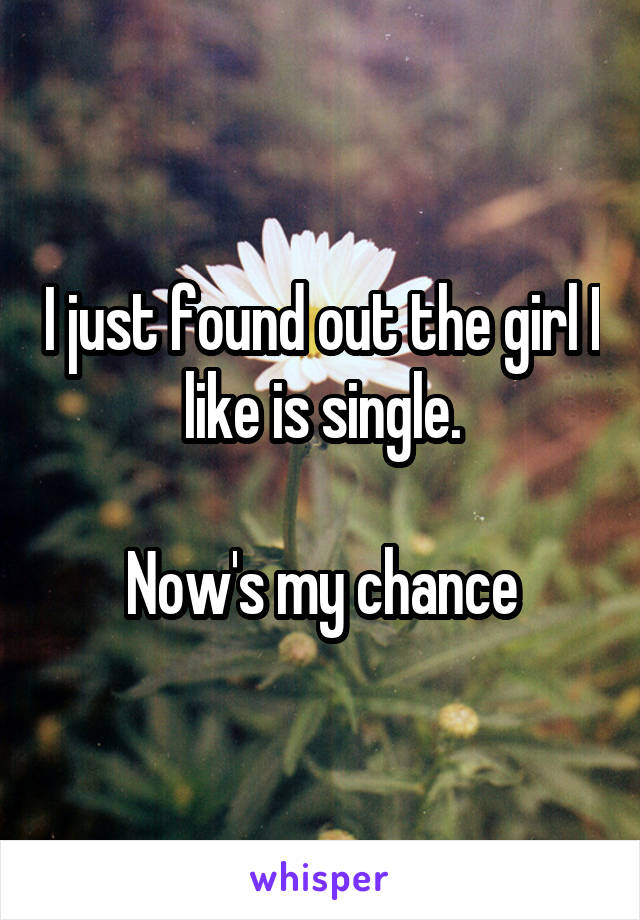 I just found out the girl I like is single.

Now's my chance