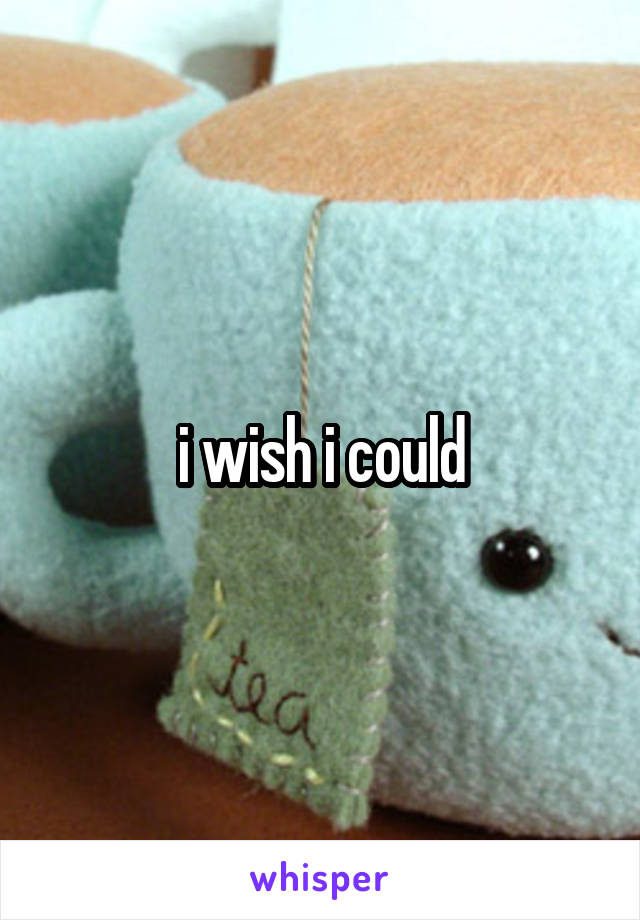 i wish i could