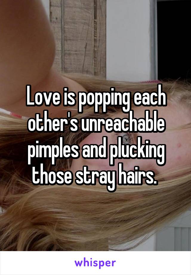 Love is popping each other's unreachable pimples and plucking those stray hairs. 