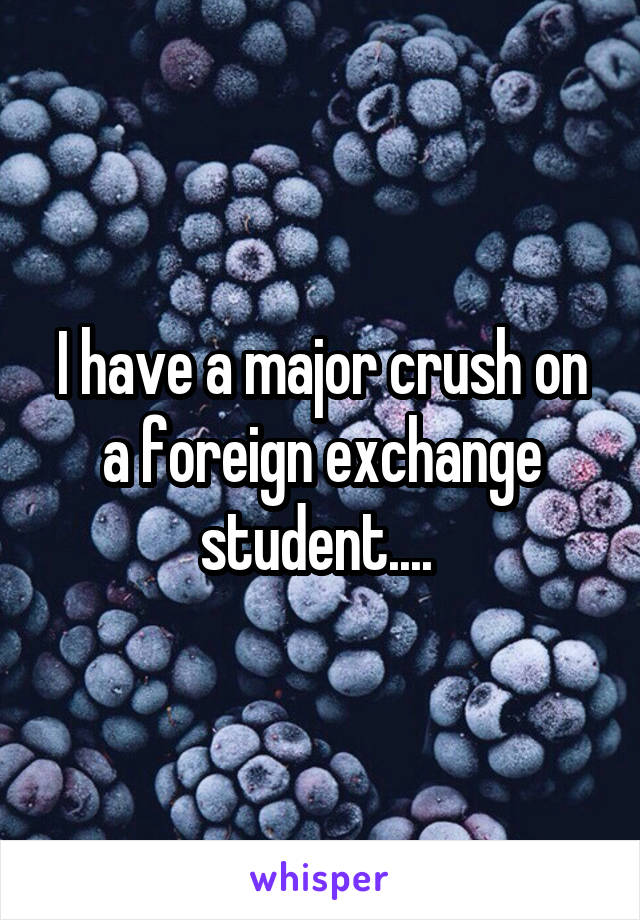 I have a major crush on a foreign exchange student.... 