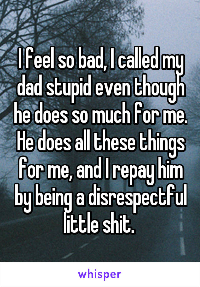 I feel so bad, I called my dad stupid even though he does so much for me. He does all these things for me, and I repay him by being a disrespectful little shit. 