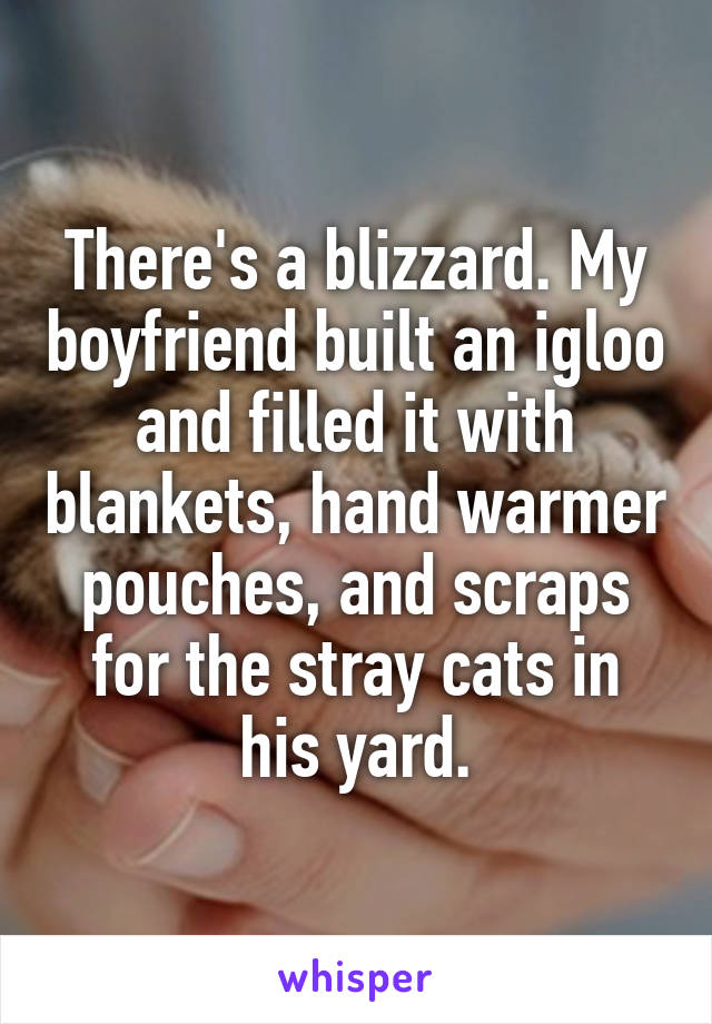 There's a blizzard. My boyfriend built an igloo and filled it with blankets, hand warmer pouches, and scraps for the stray cats in his yard.