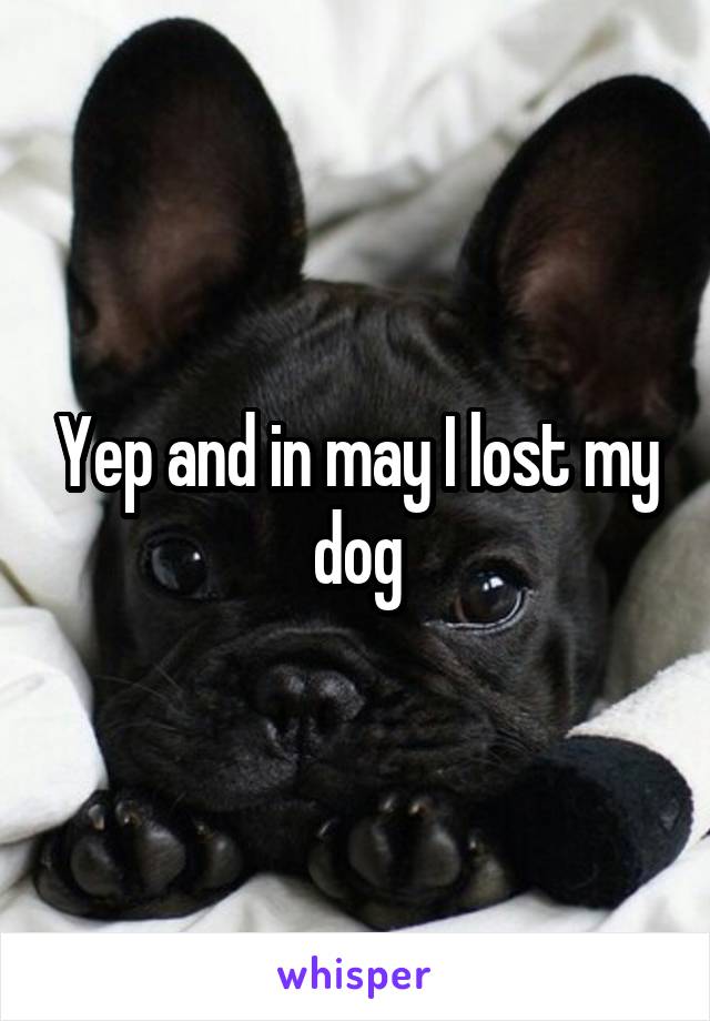 Yep and in may I lost my dog