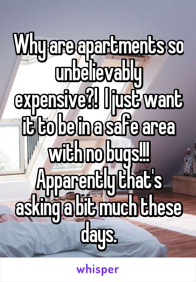 Why are apartments so unbelievably expensive?!  I just want it to be in a safe area with no bugs!!!
Apparently that's asking a bit much these days.