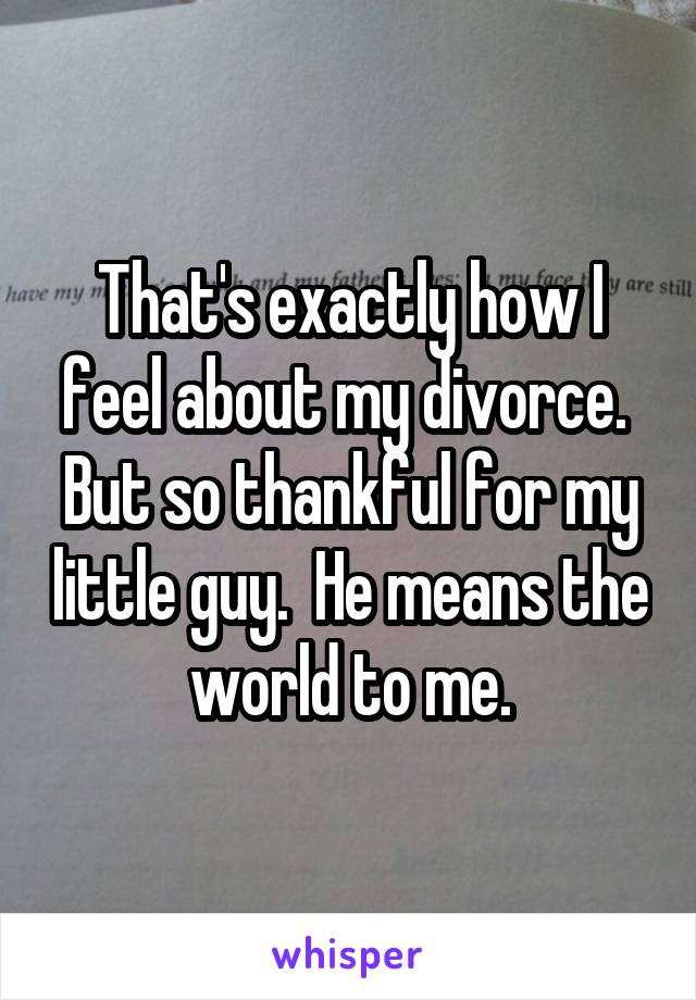 That's exactly how I feel about my divorce.  But so thankful for my little guy.  He means the world to me.