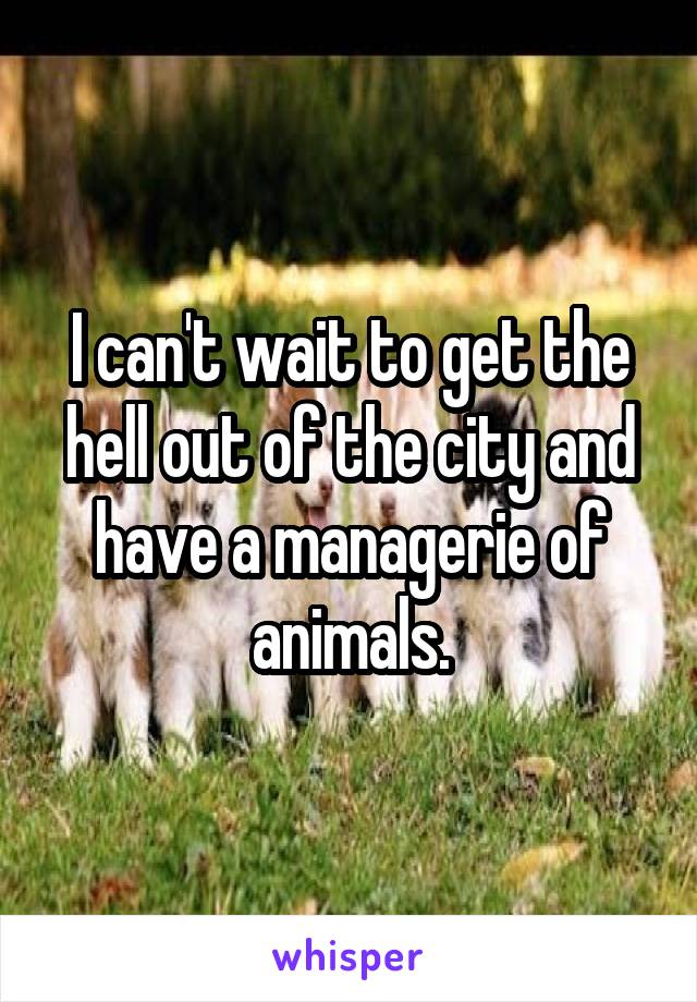 I can't wait to get the hell out of the city and have a managerie of animals.