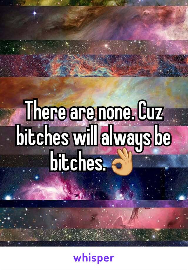 There are none. Cuz bitches will always be bitches.👌