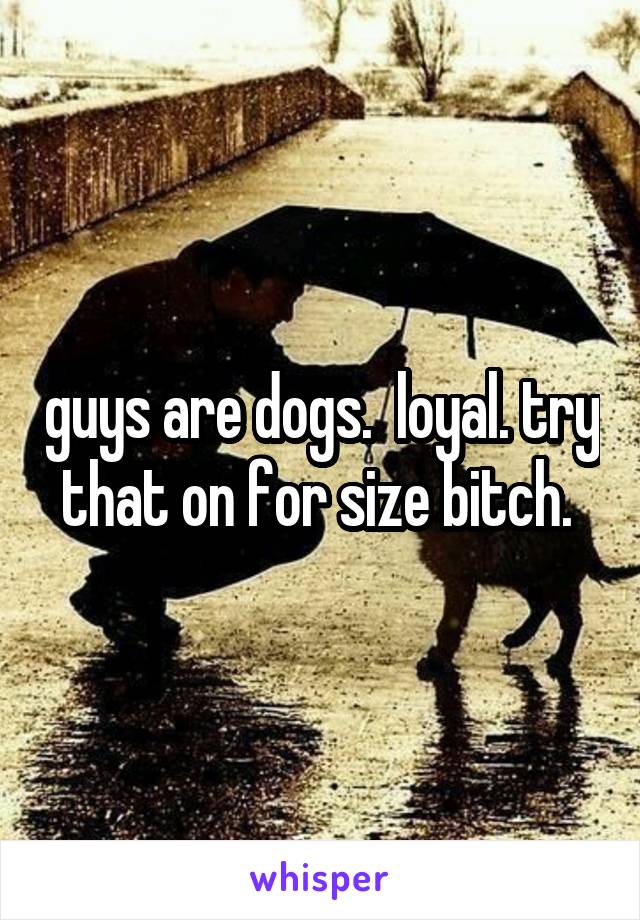 guys are dogs.  loyal. try that on for size bitch. 