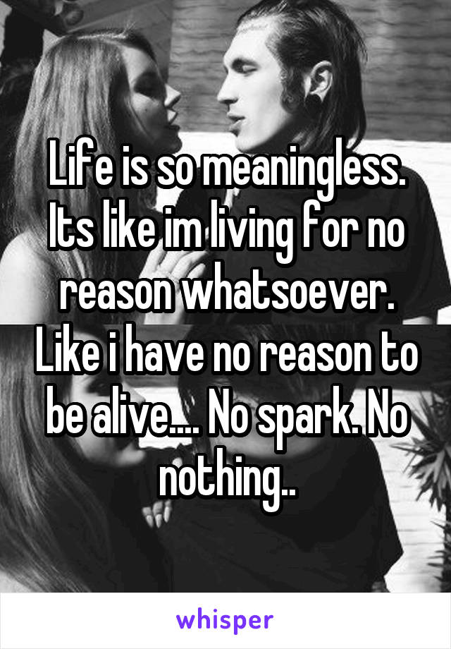 Life is so meaningless. Its like im living for no reason whatsoever. Like i have no reason to be alive.... No spark. No nothing..