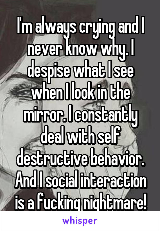 I'm always crying and I never know why. I despise what I see when I look in the mirror. I constantly deal with self destructive behavior. And I social interaction is a fucking nightmare!