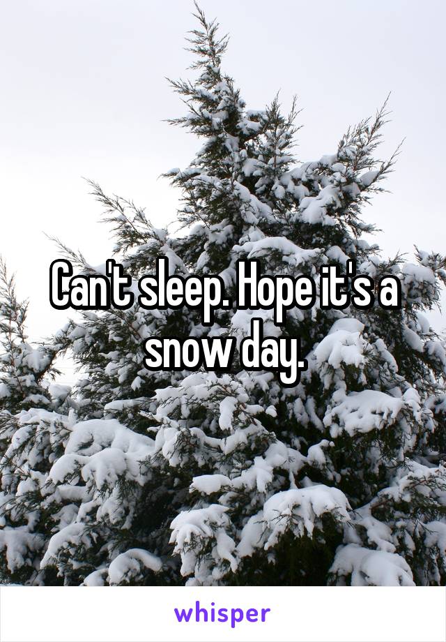 Can't sleep. Hope it's a snow day.