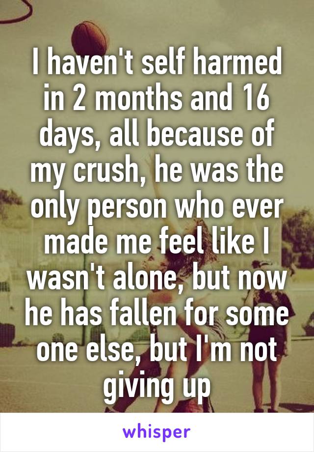 I haven't self harmed in 2 months and 16 days, all because of my crush, he was the only person who ever made me feel like I wasn't alone, but now he has fallen for some one else, but I'm not giving up