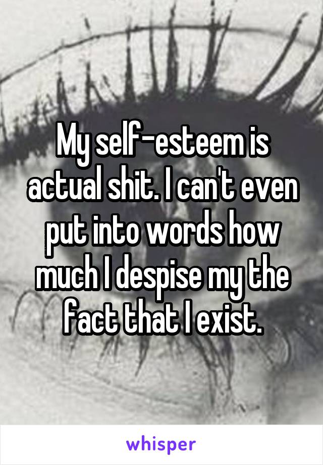 My self-esteem is actual shit. I can't even put into words how much I despise my the fact that I exist.