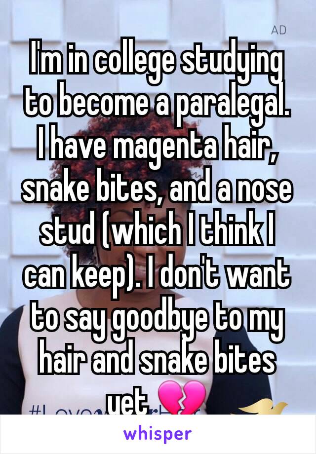 I'm in college studying to become a paralegal. I have magenta hair, snake bites, and a nose stud (which I think I can keep). I don't want to say goodbye to my hair and snake bites yet 💔