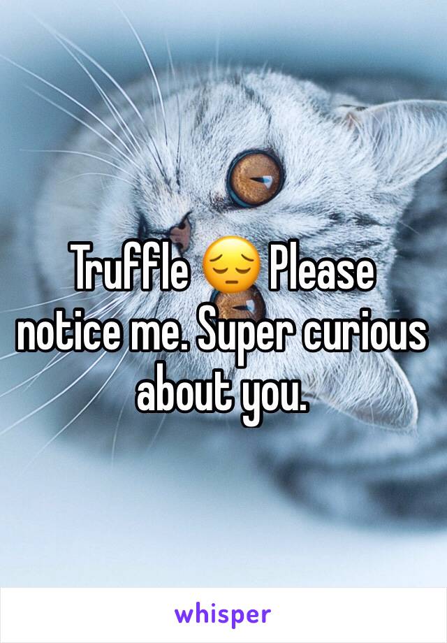 Truffle 😔 Please notice me. Super curious about you.