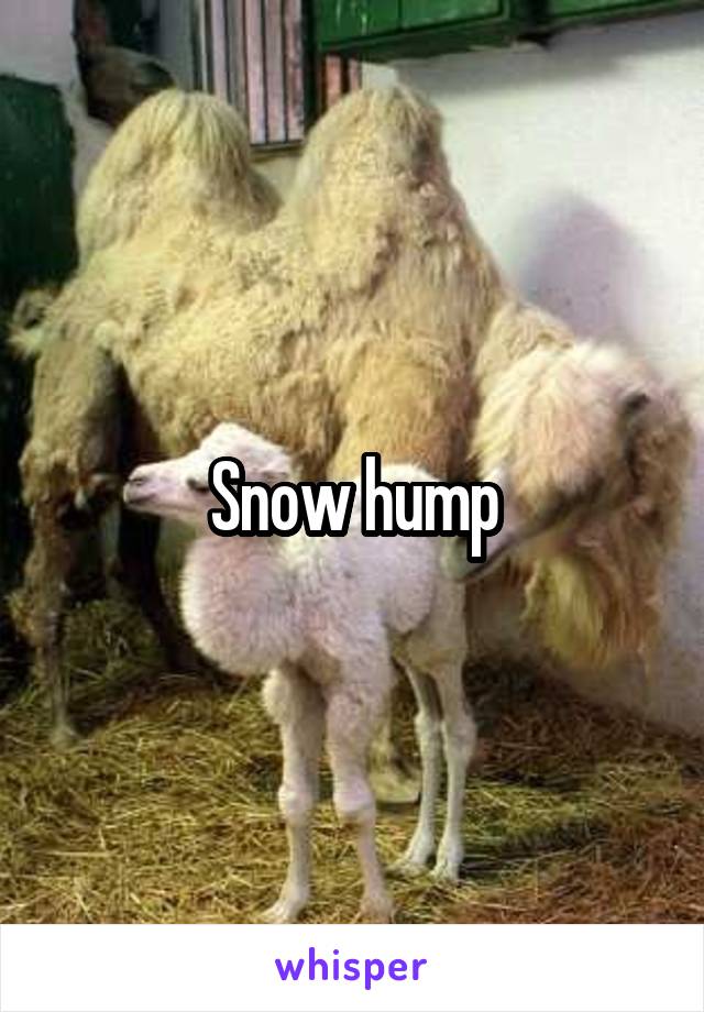 Snow hump