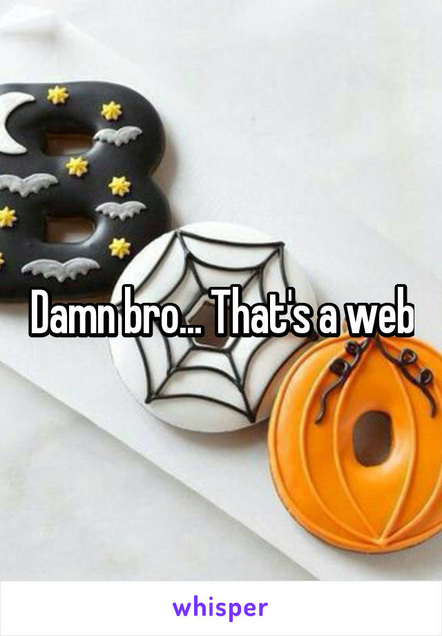 Damn bro... That's a web