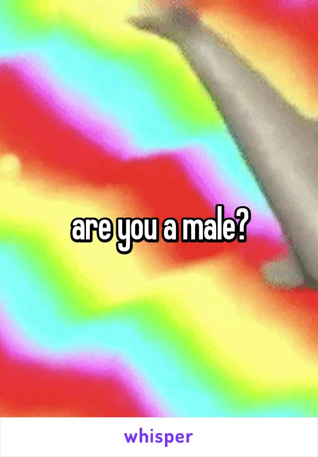 are you a male?