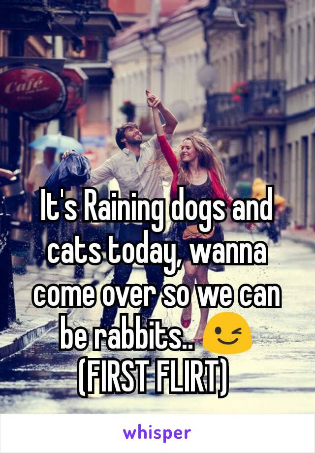 It's Raining dogs and cats today, wanna come over so we can be rabbits.. 😉
(FIRST FLIRT) 