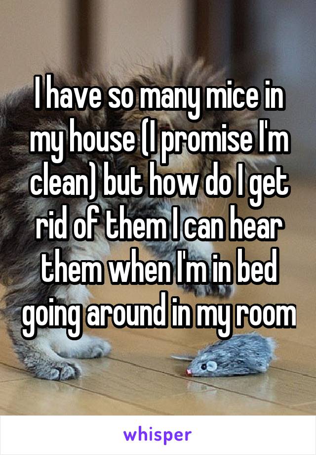 I have so many mice in my house (I promise I'm clean) but how do I get rid of them I can hear them when I'm in bed going around in my room 