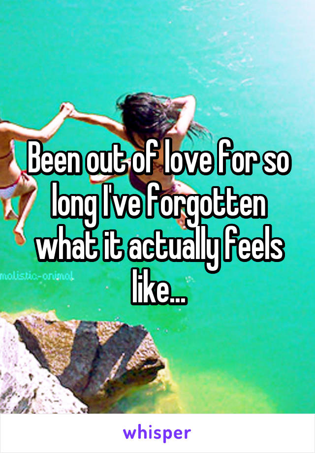 Been out of love for so long I've forgotten what it actually feels like...