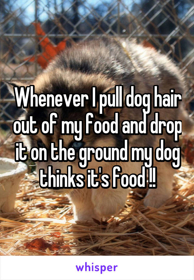 Whenever I pull dog hair out of my food and drop it on the ground my dog thinks it's food !!