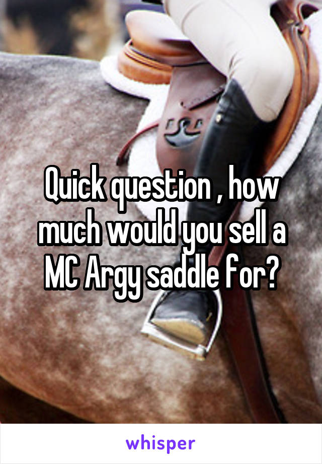 Quick question , how much would you sell a MC Argy saddle for?
