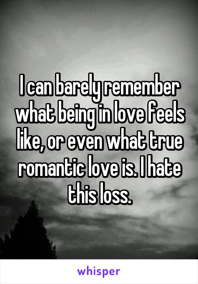 I can barely remember what being in love feels like, or even what true romantic love is. I hate this loss.