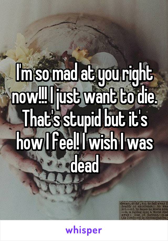 I'm so mad at you right now!!! I just want to die. That's stupid but it's how I feel! I wish I was dead