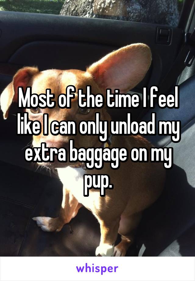 Most of the time I feel like I can only unload my extra baggage on my pup.