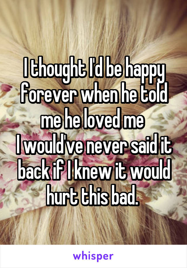 I thought I'd be happy forever when he told me he loved me 
I would've never said it back if I knew it would hurt this bad. 