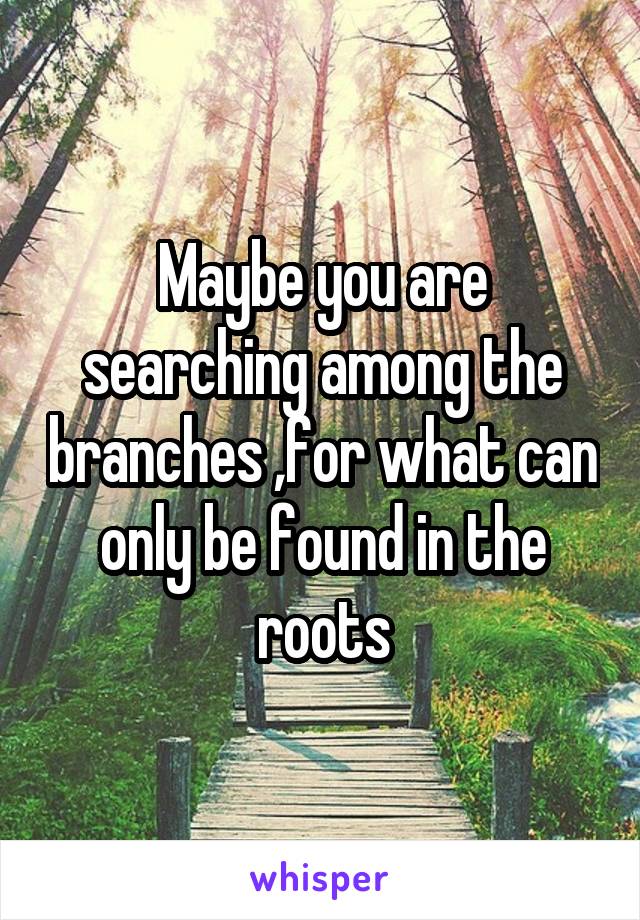 Maybe you are searching among the branches ,for what can only be found in the roots