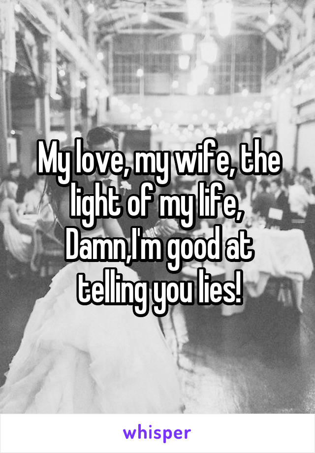 My love, my wife, the light of my life, 
Damn,I'm good at telling you lies!