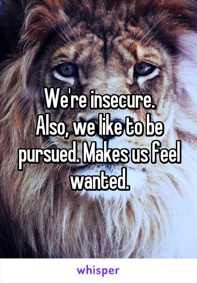 We're insecure.
Also, we like to be pursued. Makes us feel wanted.