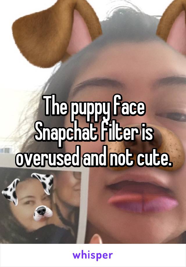 The puppy face Snapchat filter is overused and not cute.