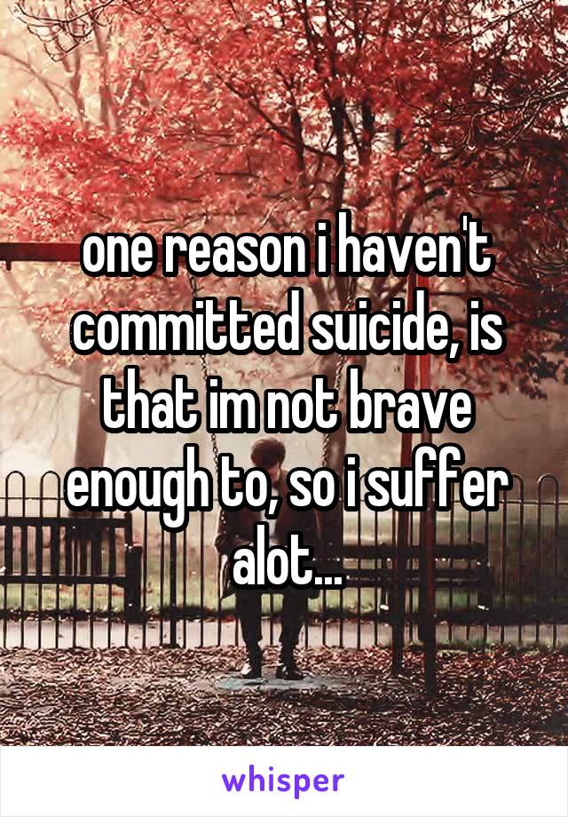 one reason i haven't committed suicide, is that im not brave enough to, so i suffer alot...