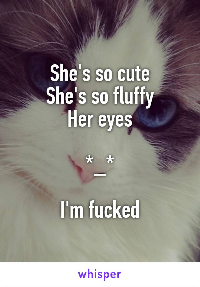She's so cute
She's so fluffy
Her eyes

*_*

I'm fucked