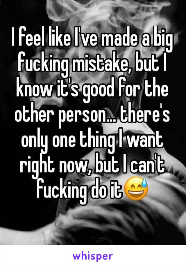 I feel like I've made a big fucking mistake, but I know it's good for the other person... there's only one thing I want right now, but I can't fucking do it😅 