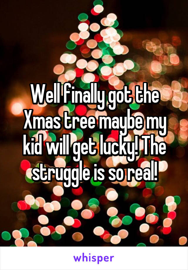 Well finally got the Xmas tree maybe my kid will get lucky! The struggle is so real!