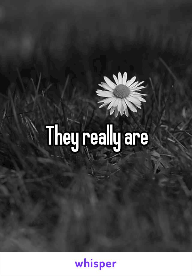 They really are