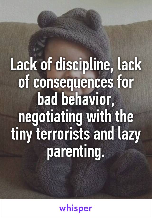 Lack of discipline, lack of consequences for bad behavior, negotiating with the tiny terrorists and lazy parenting.