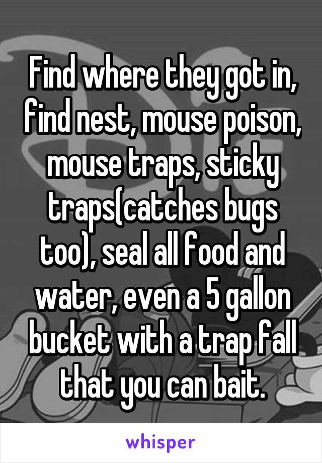 Find where they got in, find nest, mouse poison, mouse traps, sticky traps(catches bugs too), seal all food and water, even a 5 gallon bucket with a trap fall that you can bait.