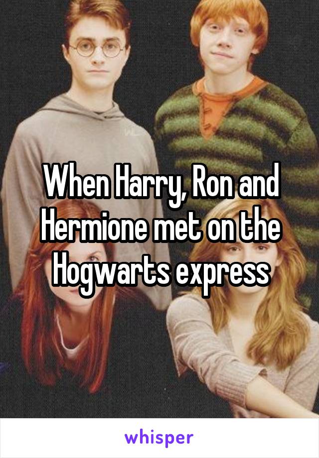 When Harry, Ron and Hermione met on the Hogwarts express