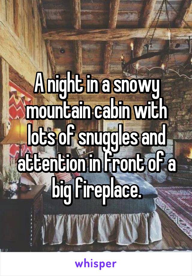 A night in a snowy mountain cabin with lots of snuggles and attention in front of a big fireplace.