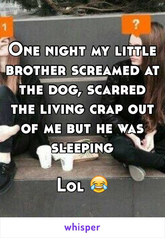 One night my little brother screamed at the dog, scarred the living crap out of me but he was sleeping

Lol 😂