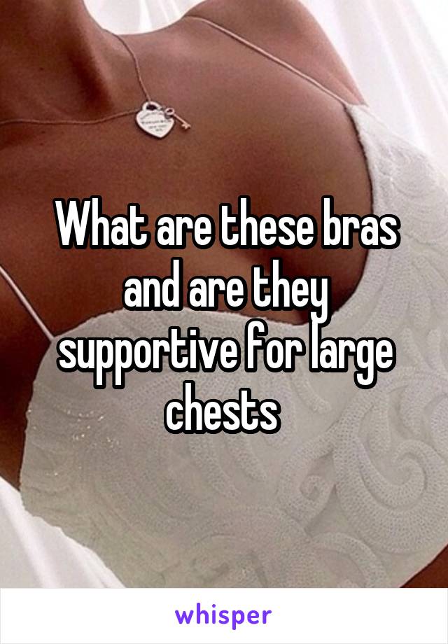 What are these bras and are they supportive for large chests 