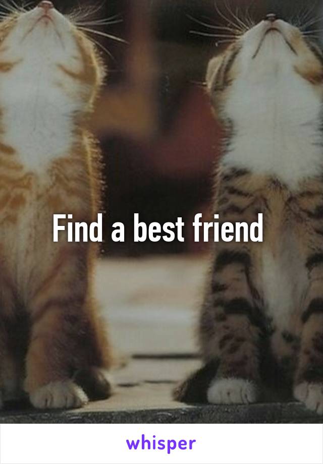 Find a best friend 