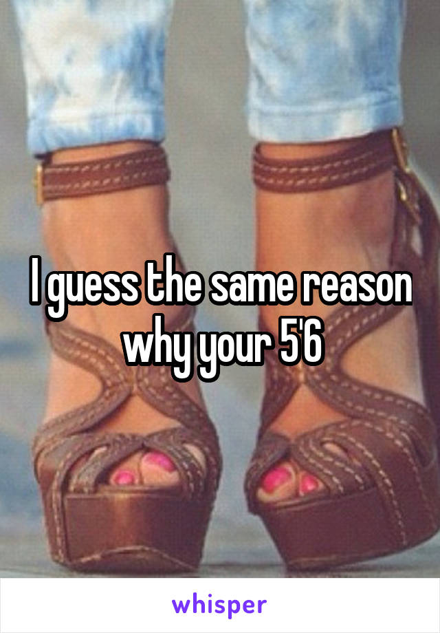 I guess the same reason why your 5'6