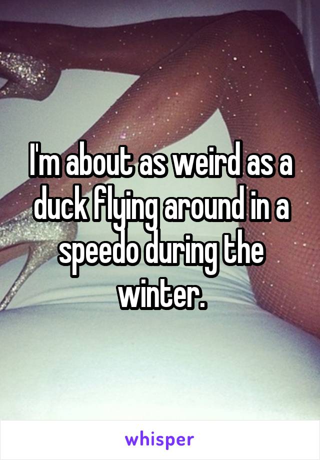 I'm about as weird as a duck flying around in a speedo during the winter.